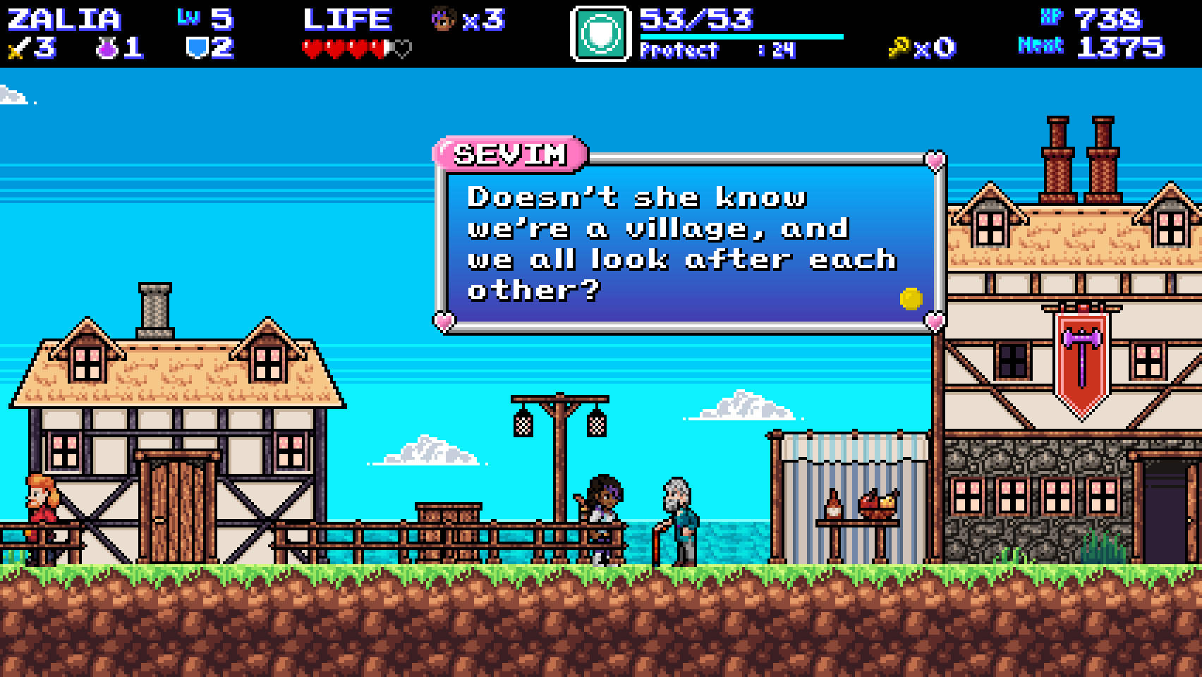 Sevim: "Doesn't she know we're a village, and we all look after each other?"